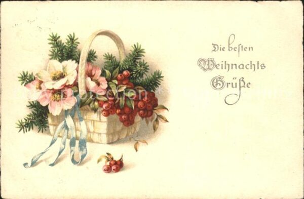 Weihnachten Chrsitrosen Schneerosen Stechpalm-Beere
