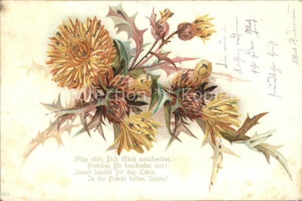 Blumen Löwenzahn Gedicht Litho
