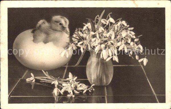 Ostern Easter Paques Schneeglöckchen Küken Ei
