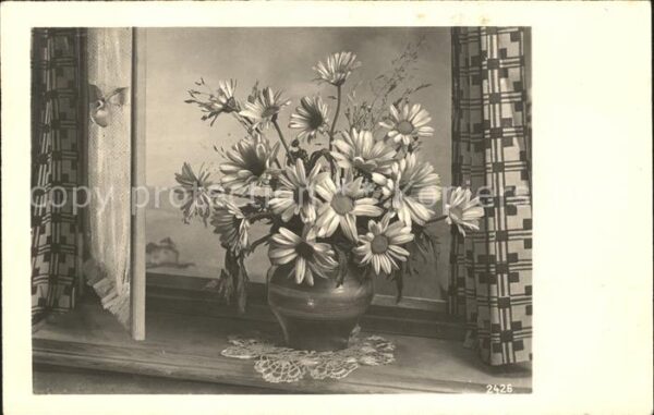 Blumen Margeriten Vase