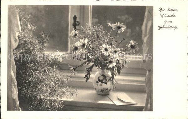 Foto NPG Nr. 3320 Margeriten Vase