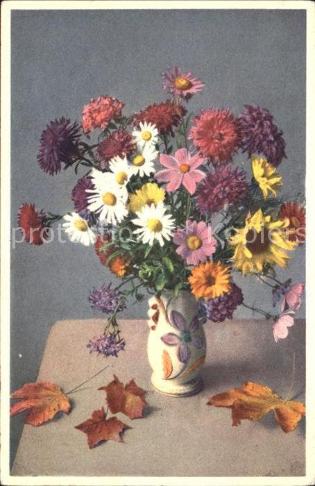 Blumen Astern Sonnenblumen Flockenblumen Vase
