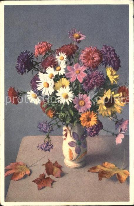 Blumen Herbstblumen Astern Sonnenblumen Flocke