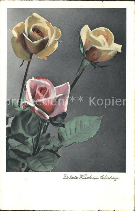 Rosen Geburtstag Verlag-Amag-Nr. 40360