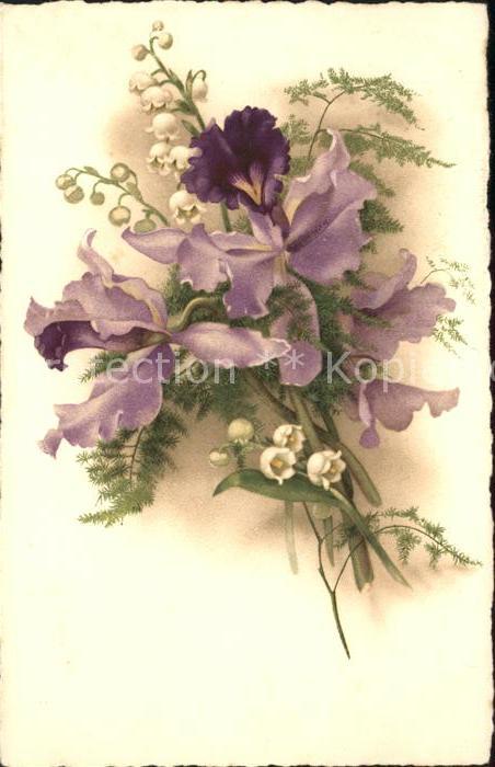 Maigloeckchen Iris Schwertlilien Litho