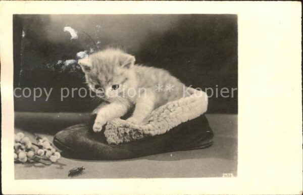 Katzen Hausschuh Maikäfer