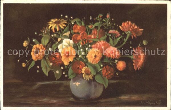 Blumen Zinnie 	
Kaktusblütige Riesen-Zinnien