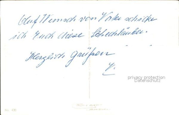 Rosen – Bild 2
