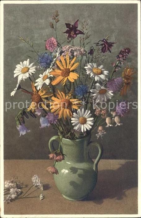 Blumen Wiesenblumen Sonnenhut Margeriten Akele
