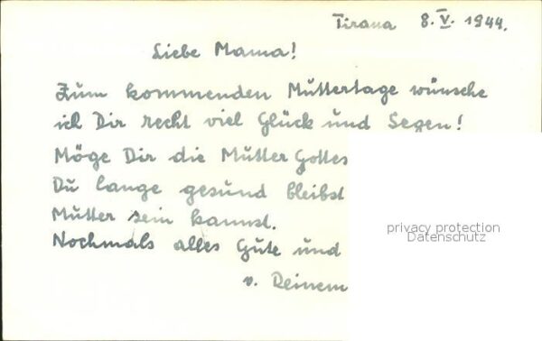 Blumen Alpenveilchen – Bild 2