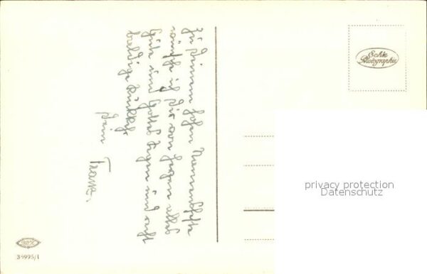 Blumen Deutzien – Bild 2