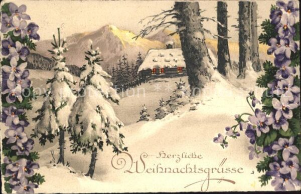 Weihnachten Veilchen Wald Schnee Litho