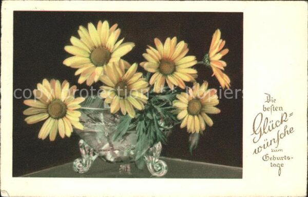 Geburtstag Gelbe Margeriten Vase