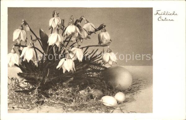 Ostern Easter Paques Märzenbecher Eier
