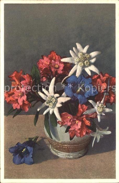 Edelweiss Enzian Alpenrosen