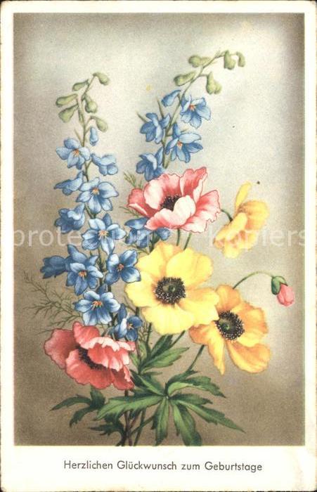 Geburtstag Anemonen Rittersporn 
Wechseln zu: Nav
