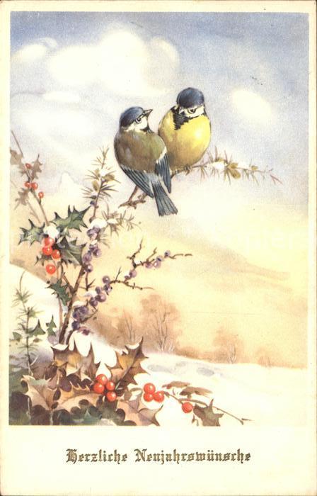 Voegel Blaumeise Weihnachten Stechpalme