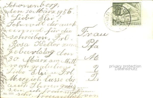 Rosen – Bild 2