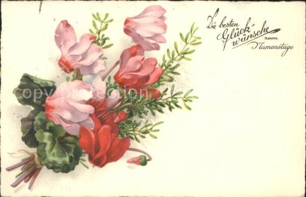 Namenstag Namenskarte Alpenveilchen Litho