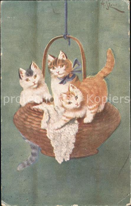 Katzen