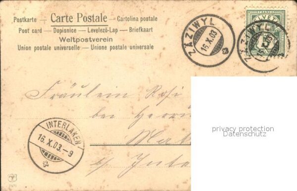 Gemse Flugzeugangriff Flucht – Bild 2