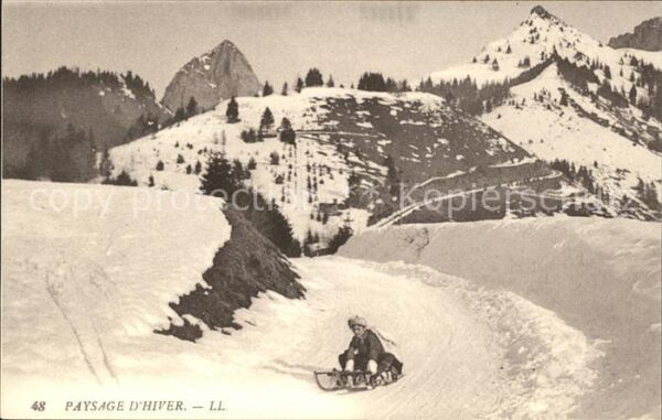 Schlitten Schnee Berge Paysage d_Hiver
