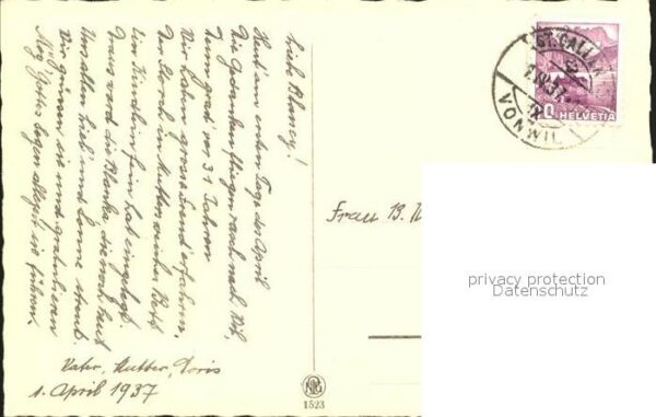 Foto NPG Nr. 1523 Nelken – Bild 2