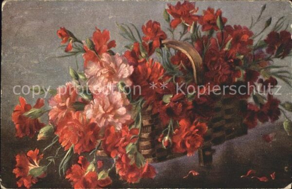 Blumen Nelken Korb