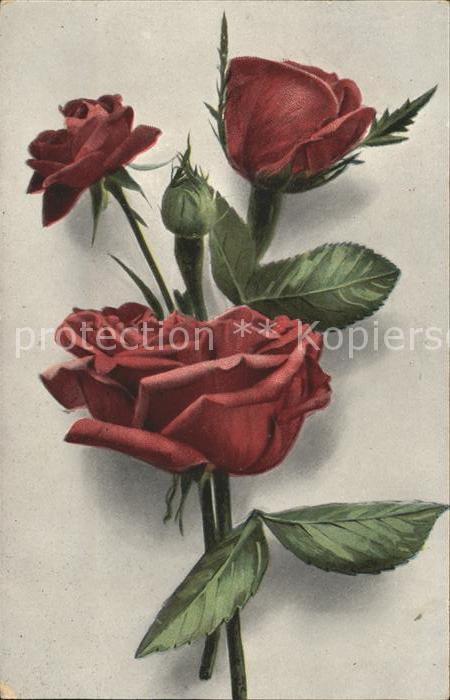 Rosen
