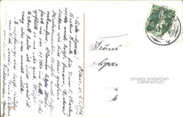 Rosen – Bild 2