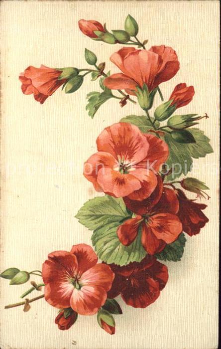 Blumen Malven