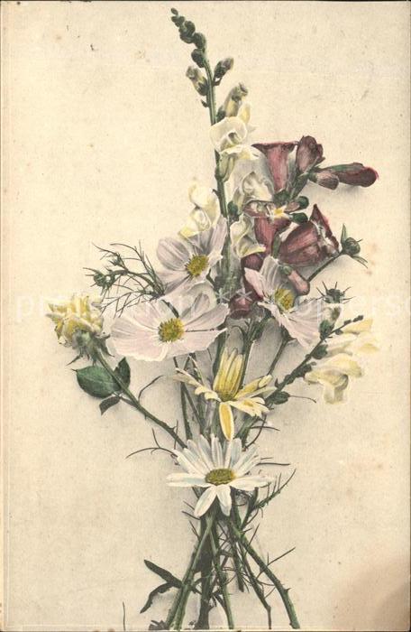 Blumen Glockenblumen Margeriten