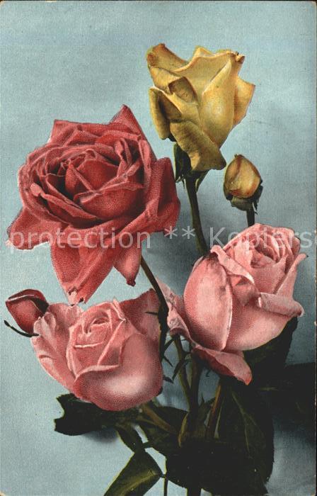 Rosen