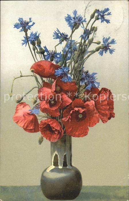 Blumen Mohnblumen Kornblumen Vase