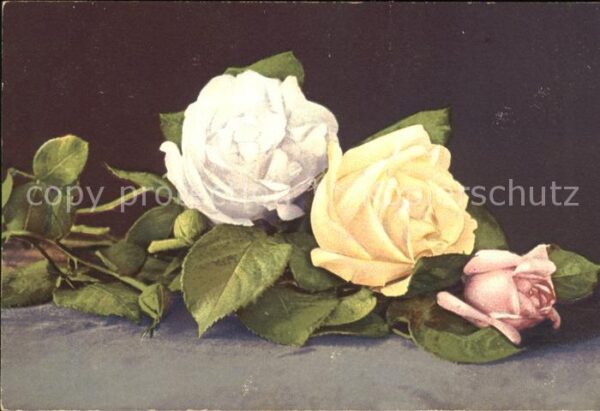 Rosen