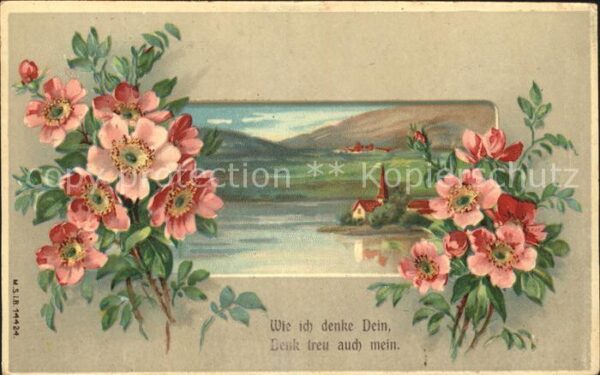 Rosen Spruch Litho