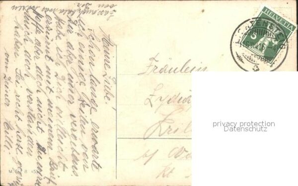 Schafe Kühe Hirte – Bild 2