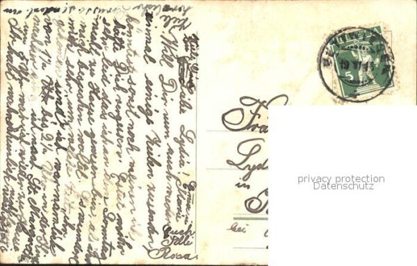 Rosen – Bild 2