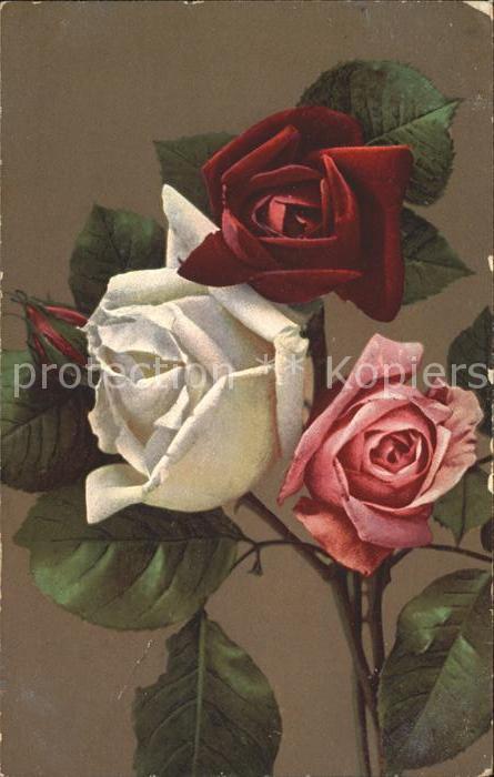 Rosen