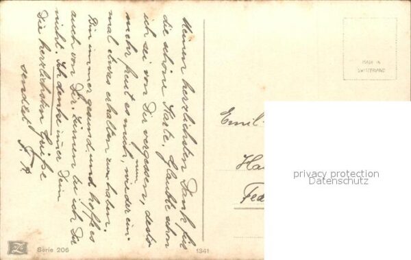 Rosen – Bild 2