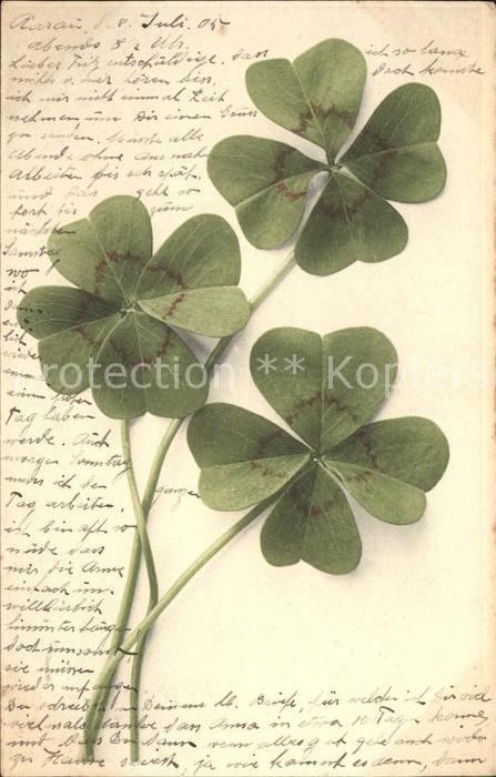 Kleeblatt Cloverleaf Trebol Trefle Kleeblätter
