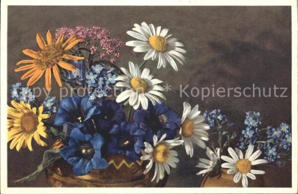 Blumen Enzian Margeriten Vergissmeinnicht