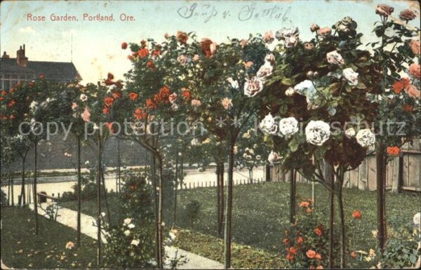 Rosen Rose Garden Portland Oregon