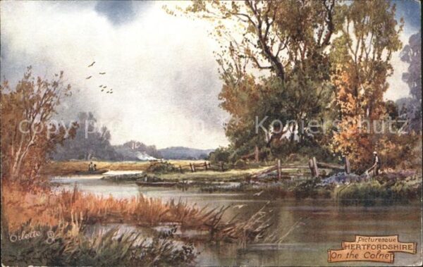 Verlag Tucks Oilette Nr. 7425 Hertfordshire River Colne