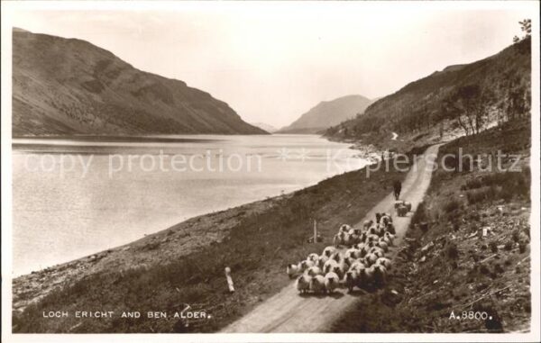 Schafe Hirte Loch Ericht Ben Alder