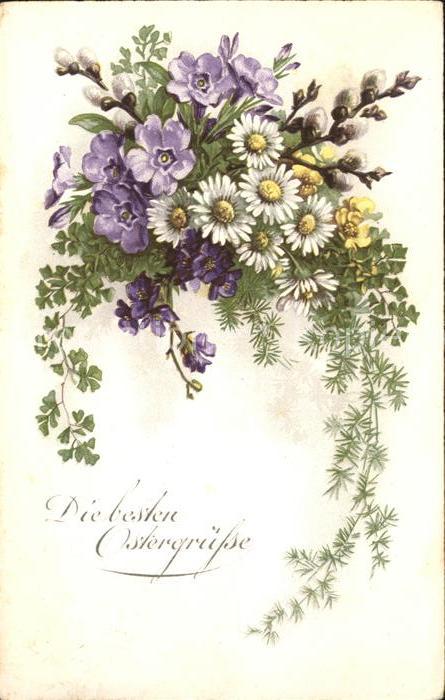 Ostern Easter Paques Margeriten Primeln Veilchen Weidenkätzc
