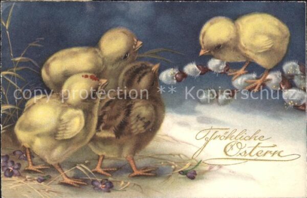 Ostern Easter Paques Küken Weidenkätzchen Veilchen