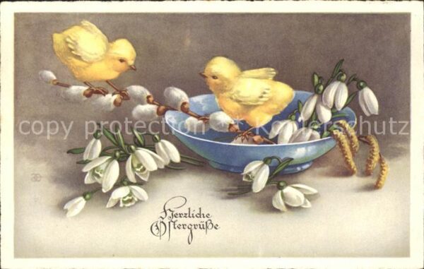 Ostern Easter Paques Küken Schneeglöckchen Weidenkätzchen