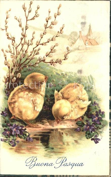 Ostern Easter Paques Küken Veilchen Weidenkätzchen Litho