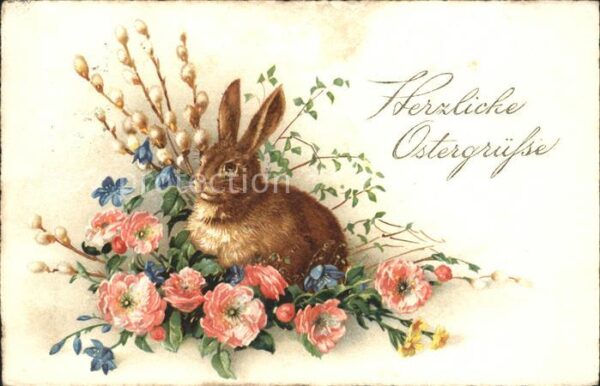 Hasen Ostern Weidenkätzchen Leberblümchen Sch